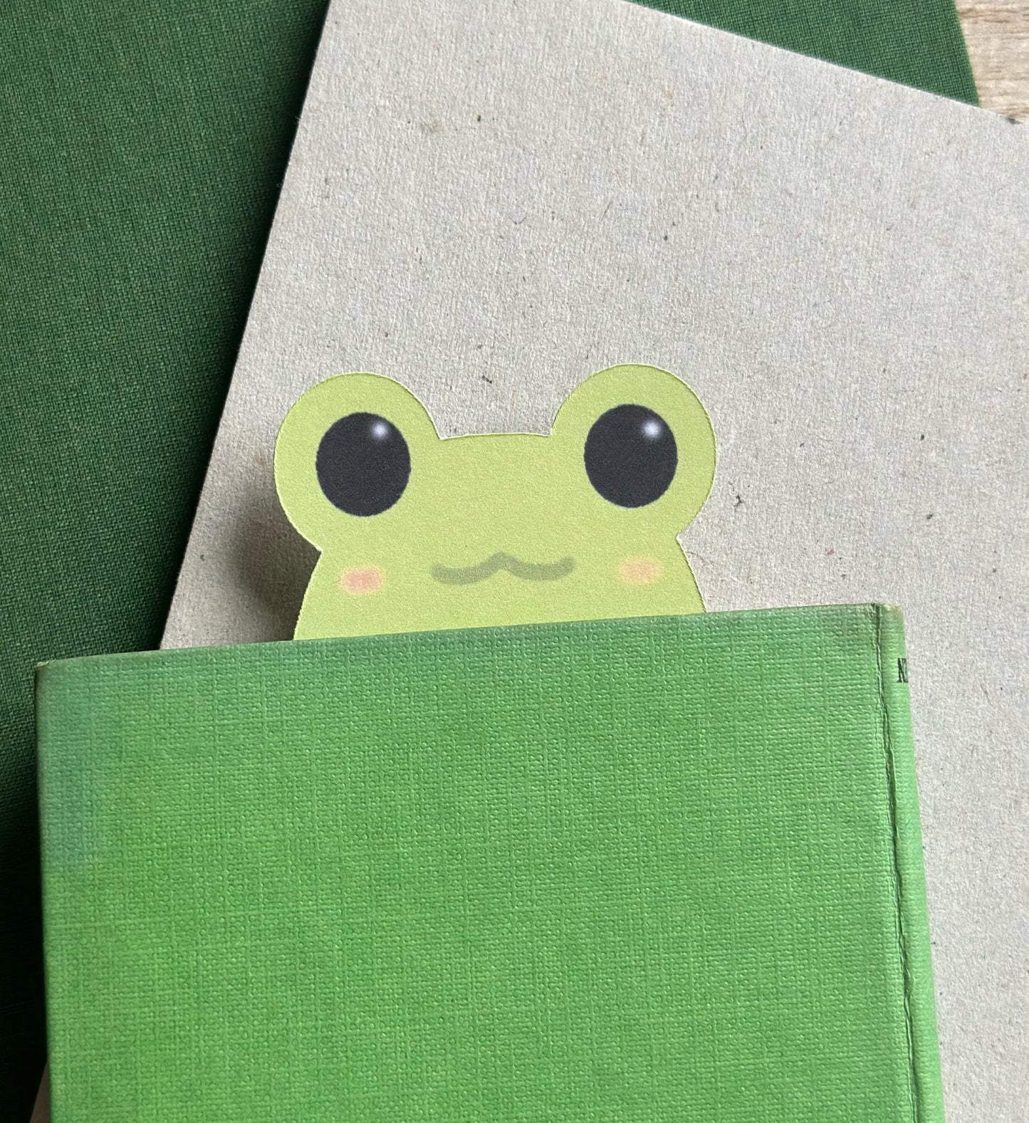 Froggie Bookmark